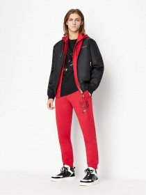 Худі та світшоти Armani Exchange Lunar New Year модель 3RZMEA-ZJ1ZZ-1435 Фото