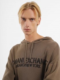 Худі та світшоти Armani Exchange модель 6RZM6D-ZM3CZ-1784 Фото