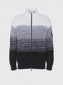 Худи и свитшоты Armani Exchange модель 6RZE5A-ZMP3Z-9212 Фото