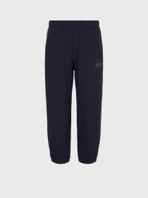 Брюки Armani Exchange модель 3DZPHK-ZJXRZ-15CX Фото