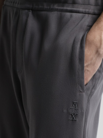 Брюки Armani Exchange модель 6DZPLK-ZJNOZ-19AA Фото