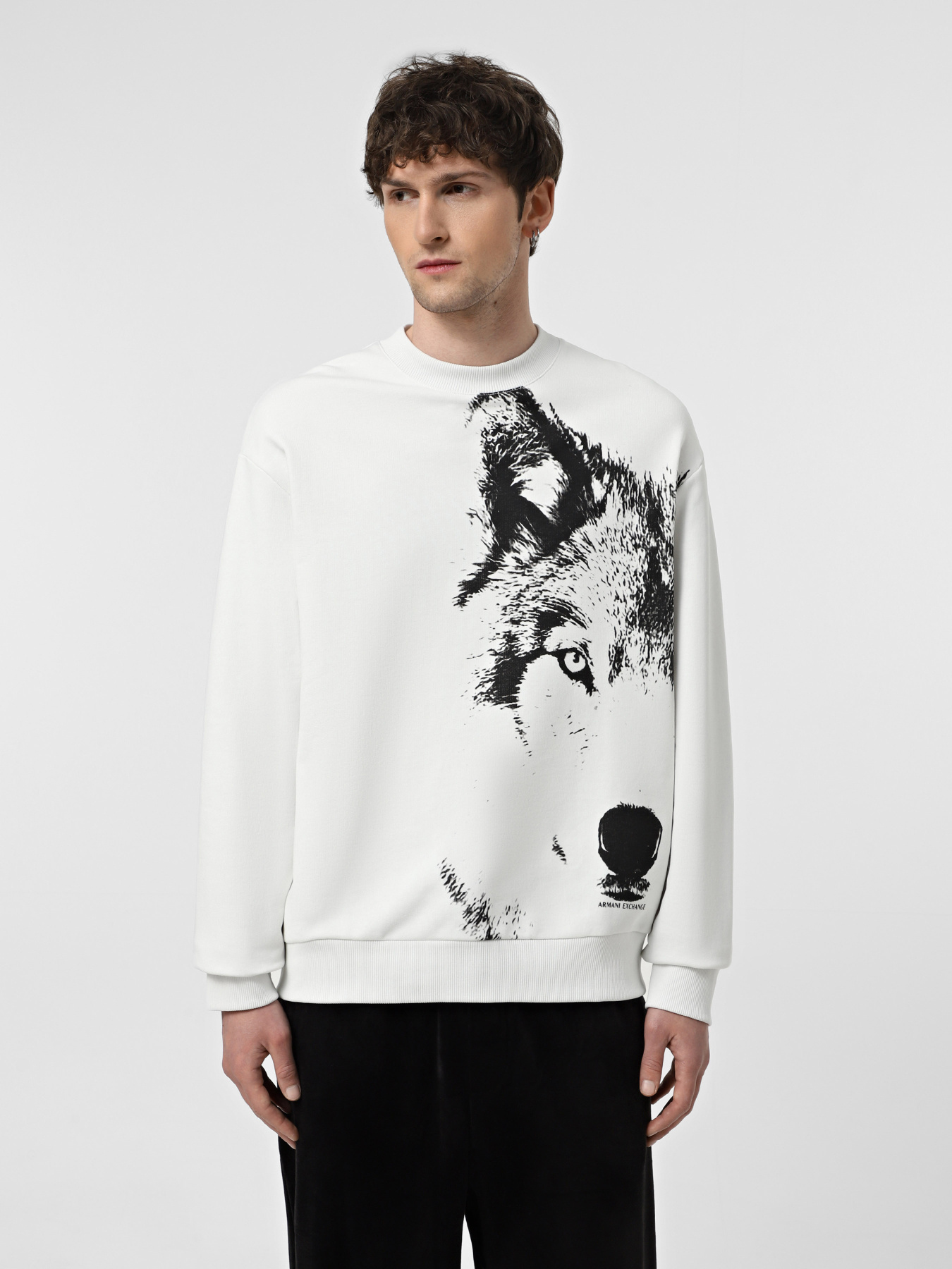 Худі та світшоти Armani Exchange модель XM000042-AF10858-M0012 Худі та світшоти Armani Exchange модель XM000042-AF10858-M0012 Фото