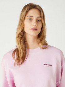 Худи и свитшоты Wrangler модель W6N0HAP34 Фото