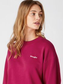 Худі та світшоти Wrangler модель W6N0HAR09 Фото
