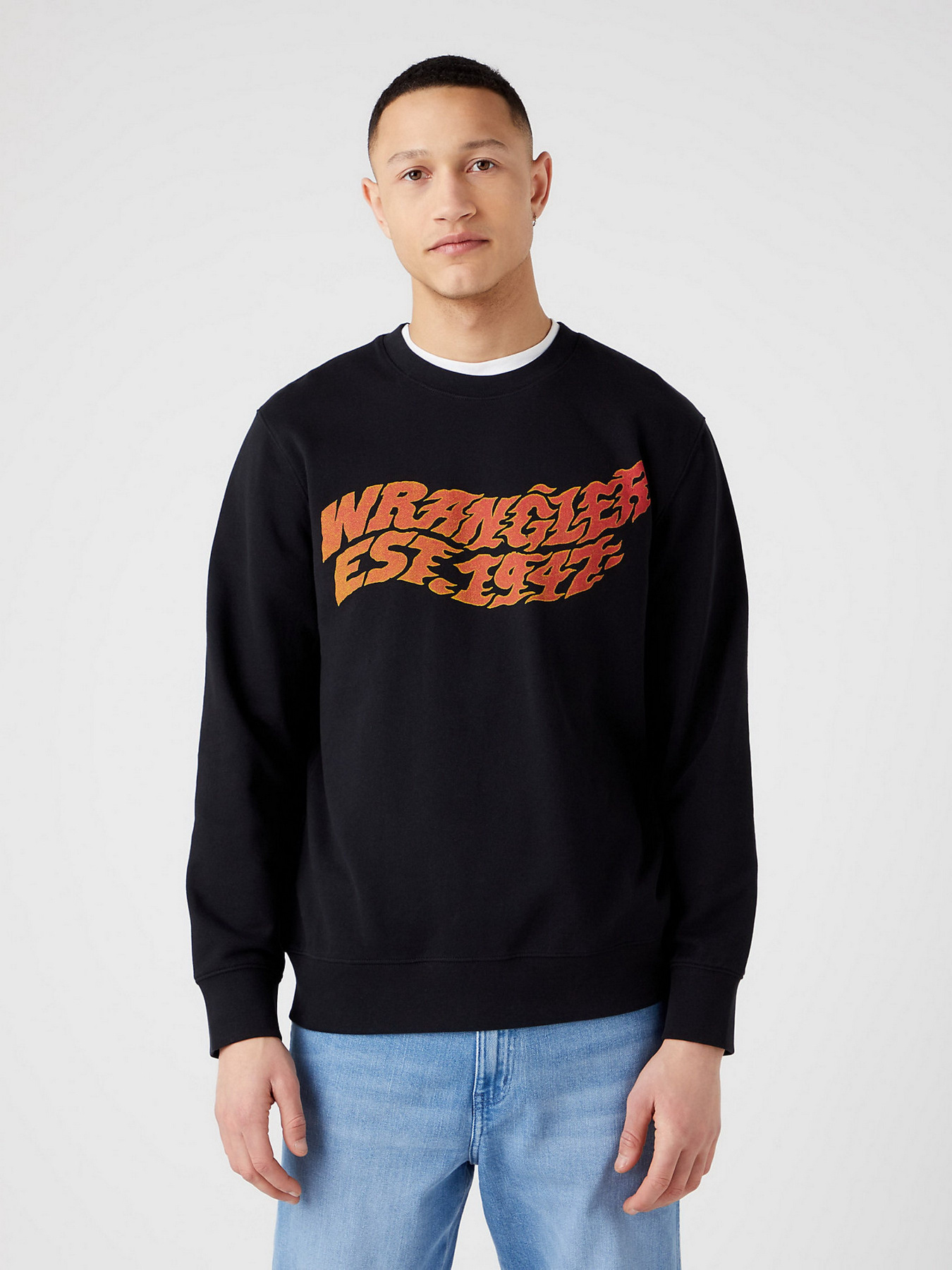 Худи и свитшоты Wrangler Graphic модель W6E9IL10000 Фото