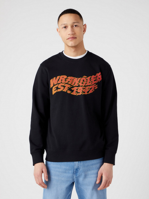 Худи и свитшоты Wrangler Graphic модель W6E9IL10000 Фото