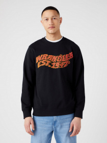 Худи и свитшоты Wrangler Graphic модель W6E9IL10000 Фото