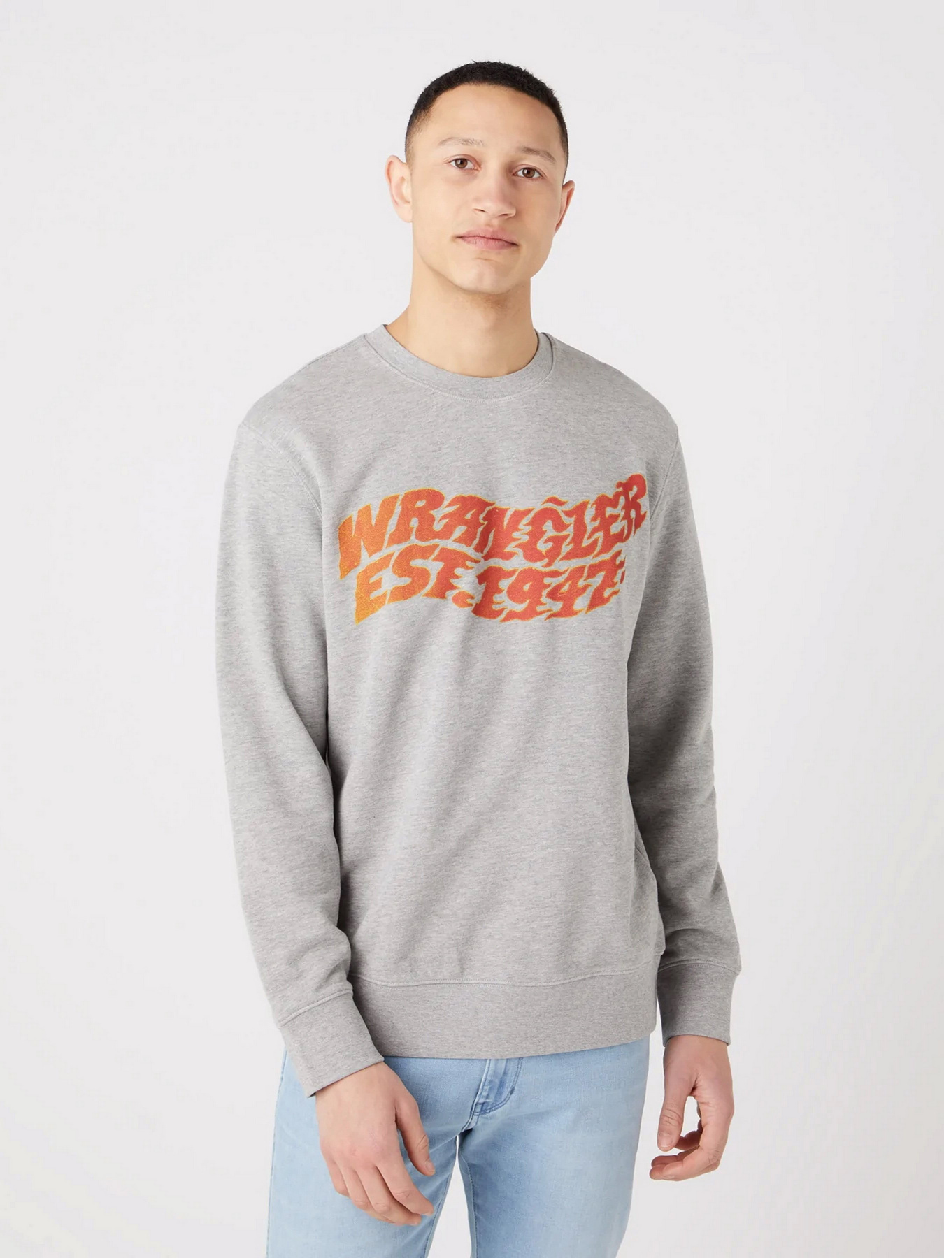 Худи и свитшоты Wrangler Graphic модель W6E9ILX3700 Фото