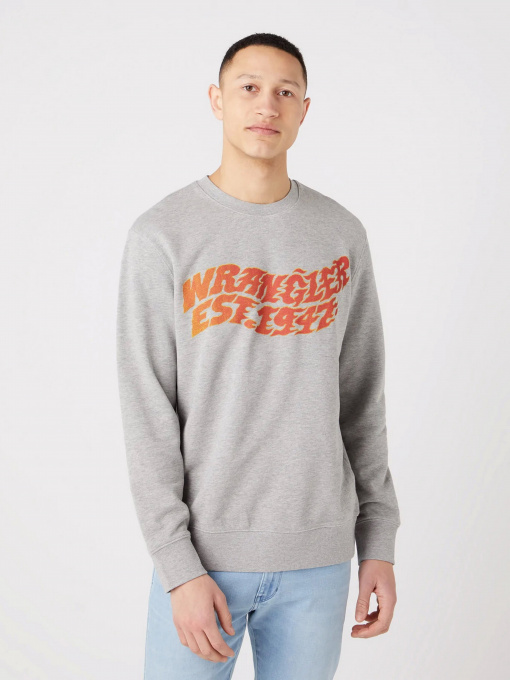 Худи и свитшоты Wrangler Graphic модель W6E9ILX3700 Фото