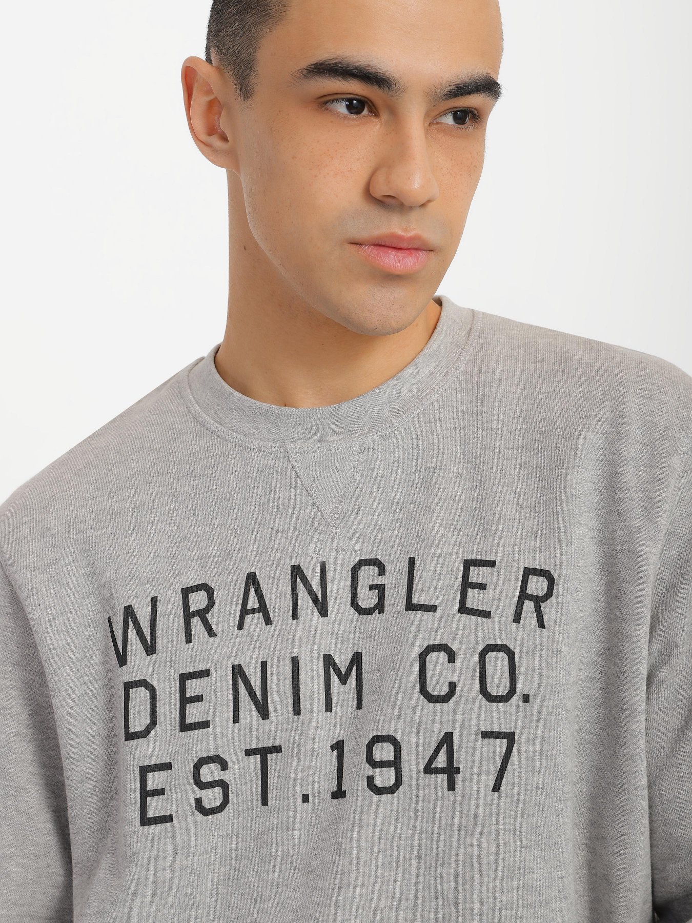 Худи и свитшоты Wrangler Graphic Crew Sweat модель W646HAX37 Фото