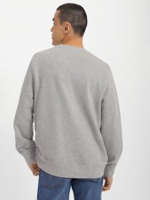 Худи и свитшоты Wrangler Graphic Crew Sweat модель W646HAX37 Фото