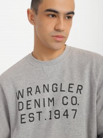 Худи и свитшоты Wrangler Graphic Crew Sweat модель W646HAX37 Фото