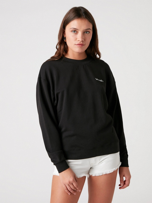 Худи и свитшоты Wrangler Retro модель W6N0HAZ01 Фото