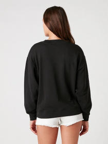 Худи и свитшоты Wrangler Retro модель W6N0HAZ01 Фото