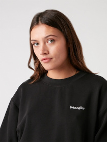 Худи и свитшоты Wrangler Retro модель W6N0HAZ01 Фото