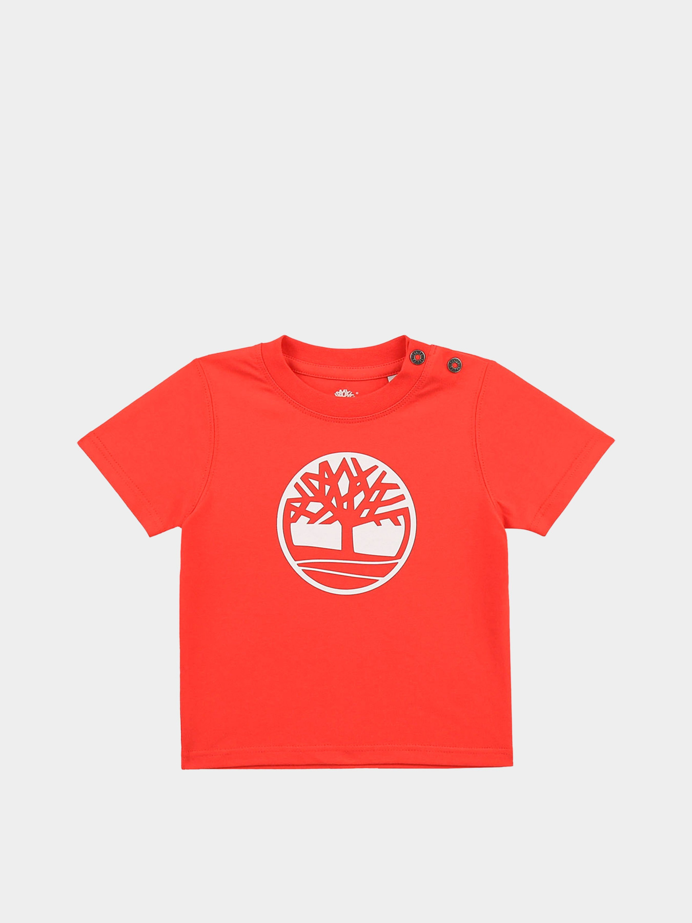 Футболки і поло Timberland Kids модель T05J81/42M Футболки і поло Timberland Kids модель T05J81/42M Фото