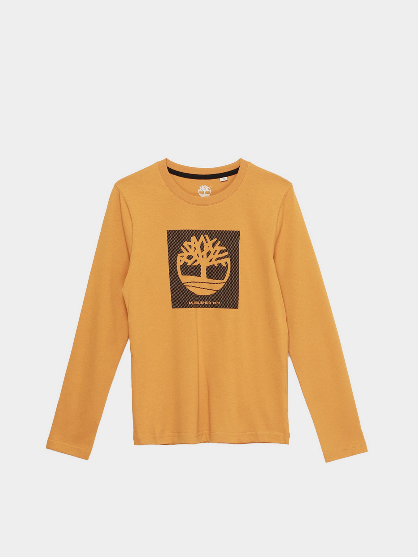 Худи и свитшоты Timberland Kids модель T25S37/589 Фото