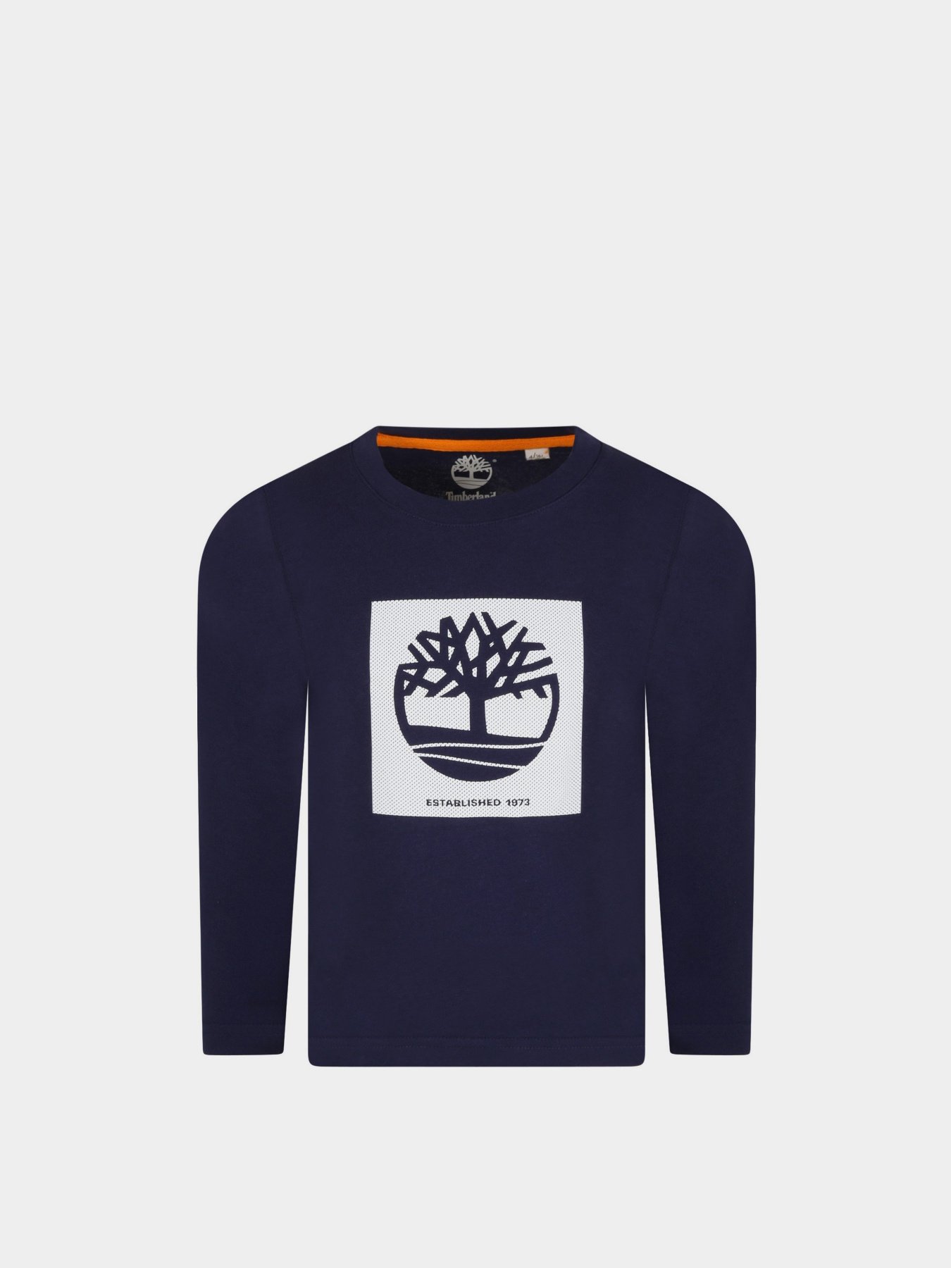 Худи и свитшоты Timberland Kids модель T25S37/85T Фото