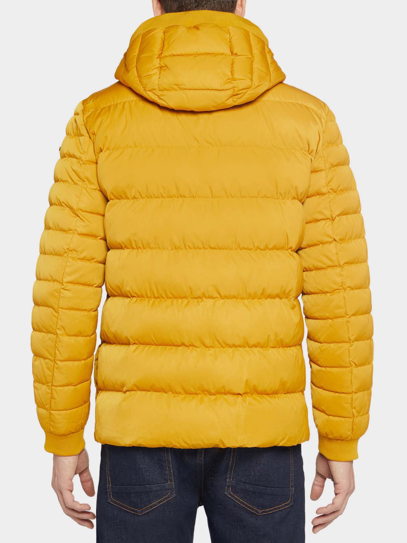 Куртки и дубленки Geox Colbyn модель M1428P-T2600-F2120 Фото