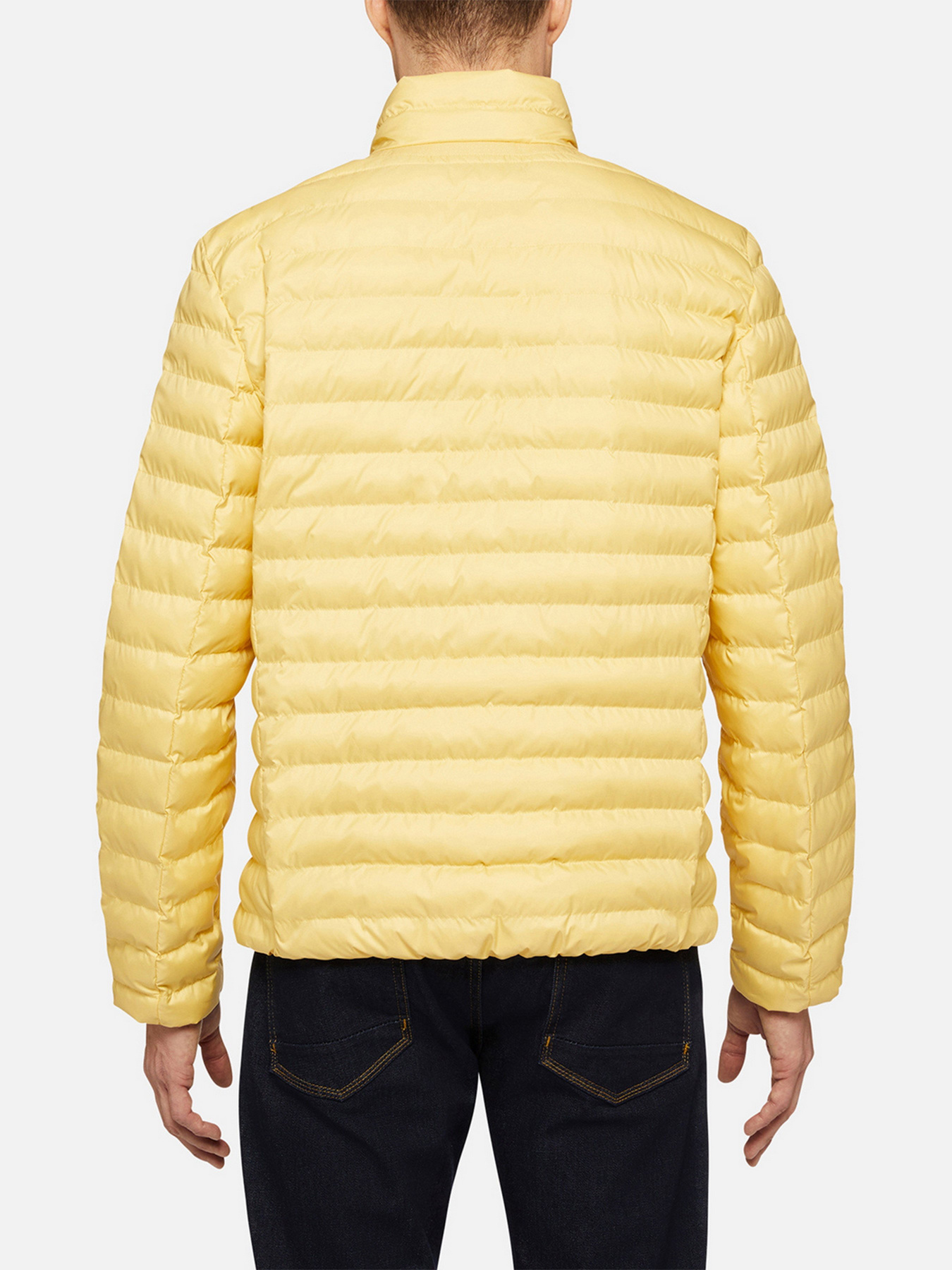 Куртки и дубленки Geox Dennie модель M2528B-T2919-F2132 Фото