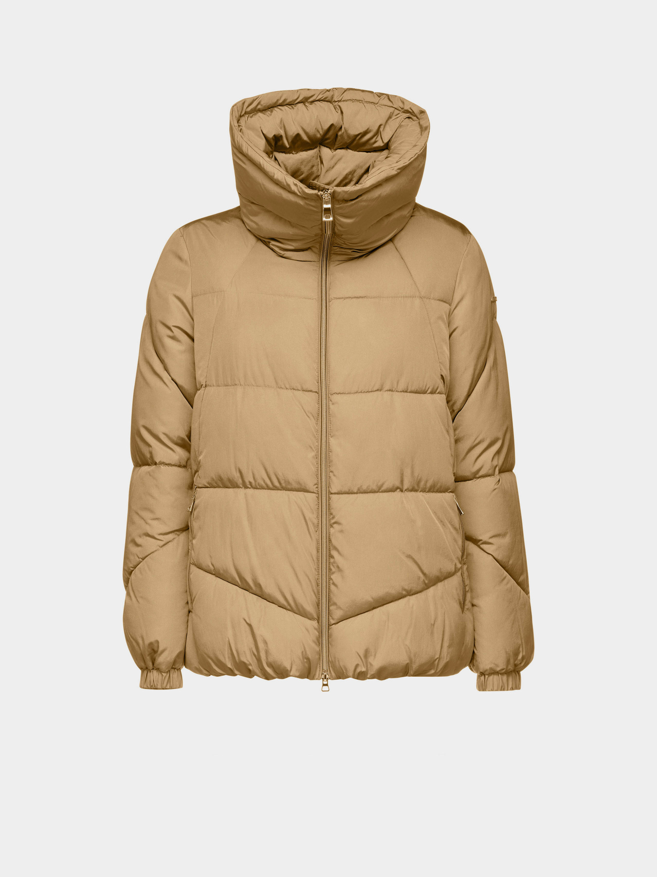 Куртки и дубленки Geox Damiana модель W4628G-T3133-F5233 Фото
