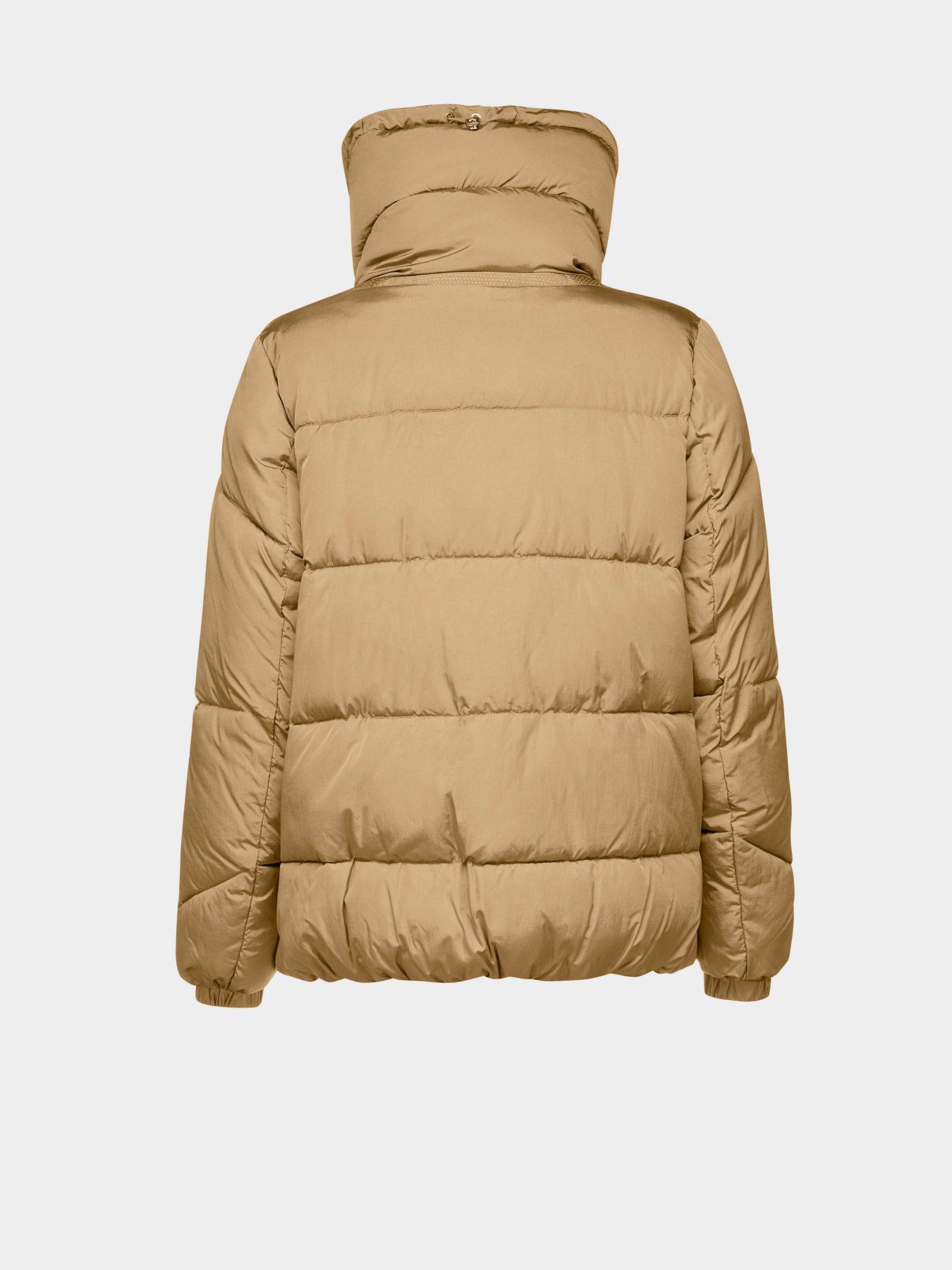 Куртки и дубленки Geox Damiana модель W4628G-T3133-F5233 Фото