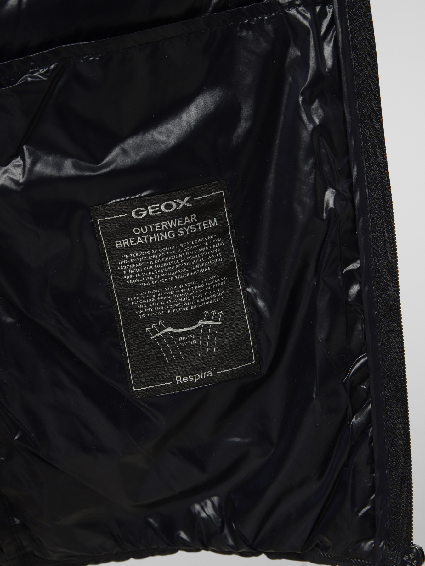 Куртки та дублянки Geox WARRENS модель M6525D-T3152-F1624 Куртки та дублянки Geox WARRENS модель M6525D-T3152-F1624 Фото