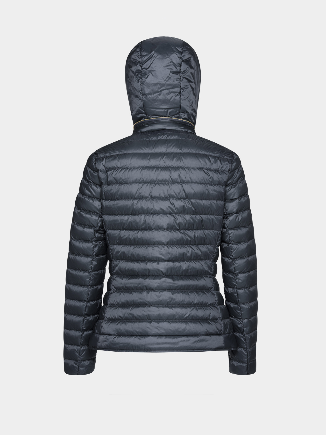 Куртки и дубленки Geox JAYSEN модель W6525B-T3146-F1624 Куртки и дубленки Geox JAYSEN модель W6525B-T3146-F1624 Фото