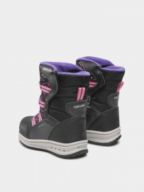 Ботинки и сапоги Geox Roby модель J26FUA-054FU-C0922 Фото