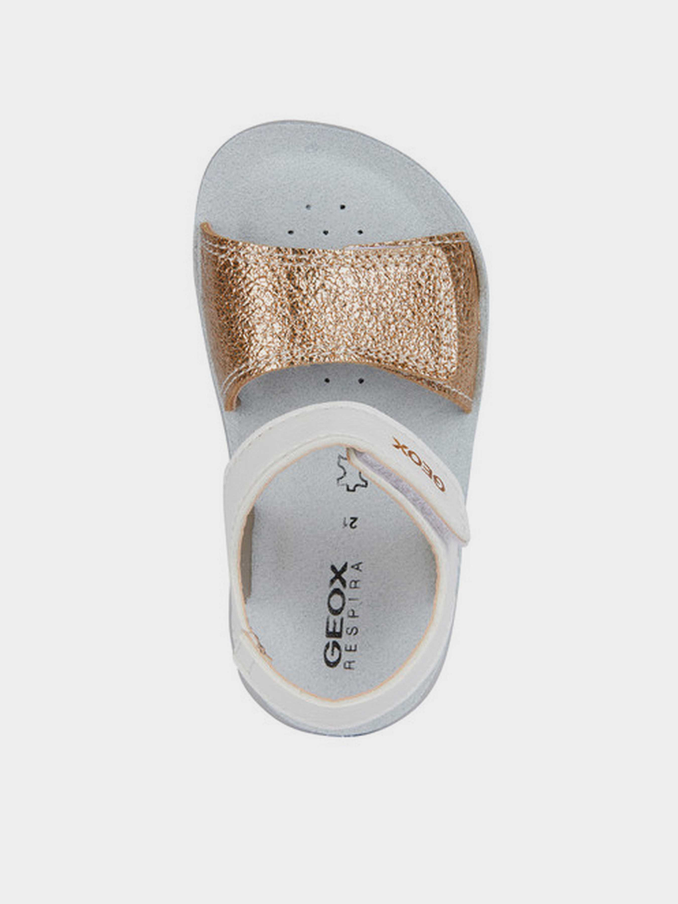 Сандалии Geox B Sandal Lightfloppy модель B455TB-054AJ-C0232 Фото