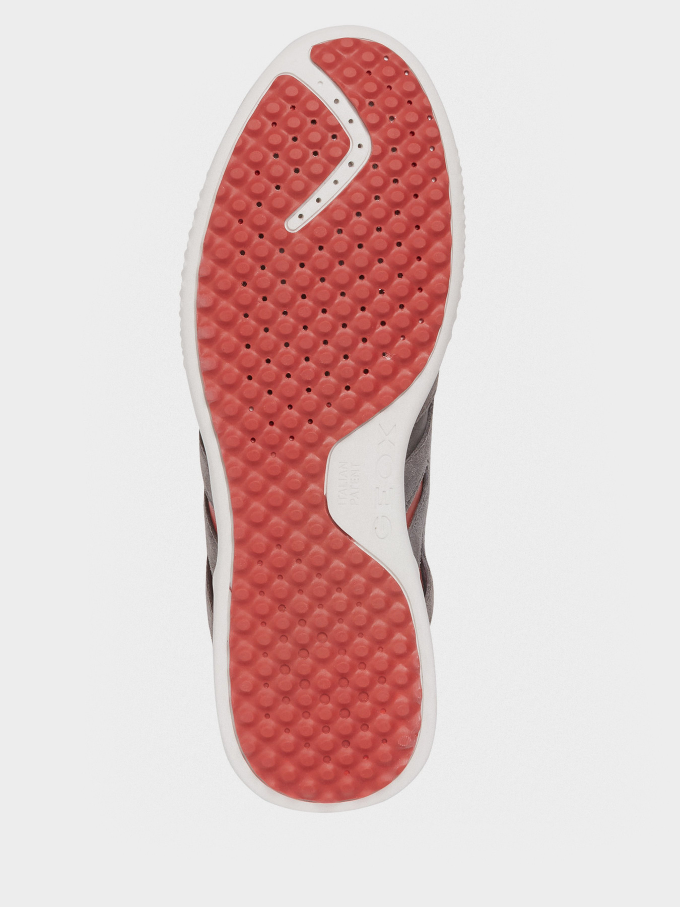 Кросівки Geox SNAKE 2 модель U048DB-022FU-C0051 Фото