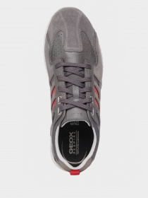 Кросівки Geox SNAKE 2 модель U048DB-022FU-C0051 Фото
