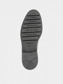 Туфли и лоферы Geox Appiano  модель U16D0C-00085-C6009 Фото