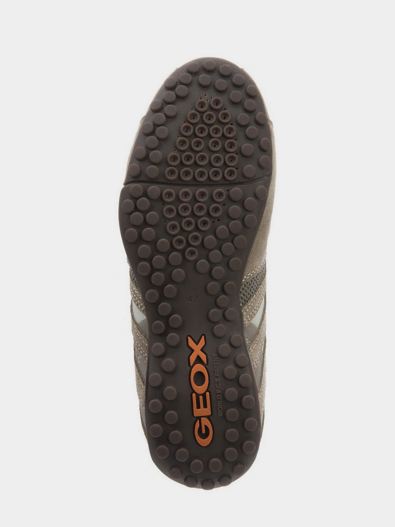 Кросівки Geox SNAKE модель U4207L-02214-C0845 Фото