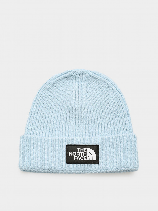 Шапки и кепки The North Face Logo Box Cuffed модель NF0A3FJX3R31 Фото