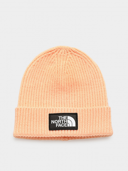 Шапки и кепки The North Face Logo Box Cuffed модель NF0A3FJX3R81 Фото