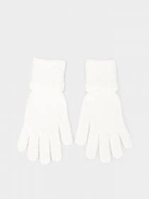 Перчатки и варежки The North Face City Plush модель NF0A7RJAN3N1 Фото