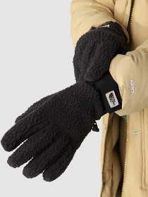 Перчатки и варежки The North Face Cragmont Fleece модель NF0A7RH4JK31 Фото
