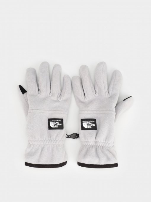 Перчатки и варежки The North Face Etip HW Fleece модель NF0A7RJ6A911 Фото