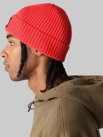 Шапки и кепки The North Face Logo Box Cuffed Beanie модель NF0A3FJX6821 Фото