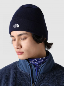 Шапки и кепки The North Face Norm Beanie модель NF0A5FW18K21 Фото