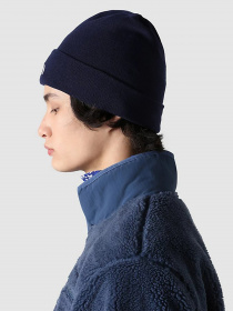 Шапки и кепки The North Face Norm Beanie модель NF0A5FW18K21 Фото