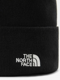 Шапки и кепки The North Face Norm Beanie модель NF0A5FW1JK31 Фото