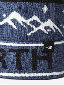 Шапки и кепки The North Face Ski Tuke модель NF0A7WG6HDC1 Фото