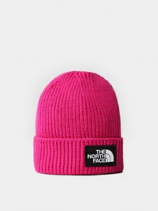 Шапки и кепки The North Face Kids Box Logo Cuffed Beanie модель NF0A7WGC1461 Фото