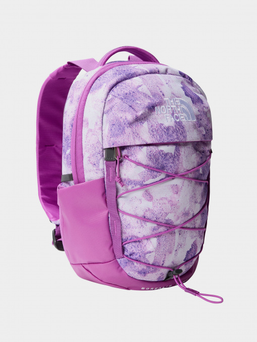 Рюкзаки The North Face Borealis Mini 10L модель NF0A52SWIYN1 Фото