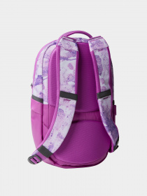Рюкзаки The North Face Borealis Mini 10L модель NF0A52SWIYN1 Фото