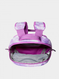 Рюкзаки The North Face Borealis Mini 10L модель NF0A52SWIYN1 Фото