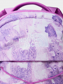 Рюкзаки The North Face Borealis Mini 10L модель NF0A52SWIYN1 Фото