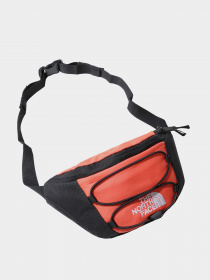 Сумки The North Face модель NF0A52TMZV11 Фото